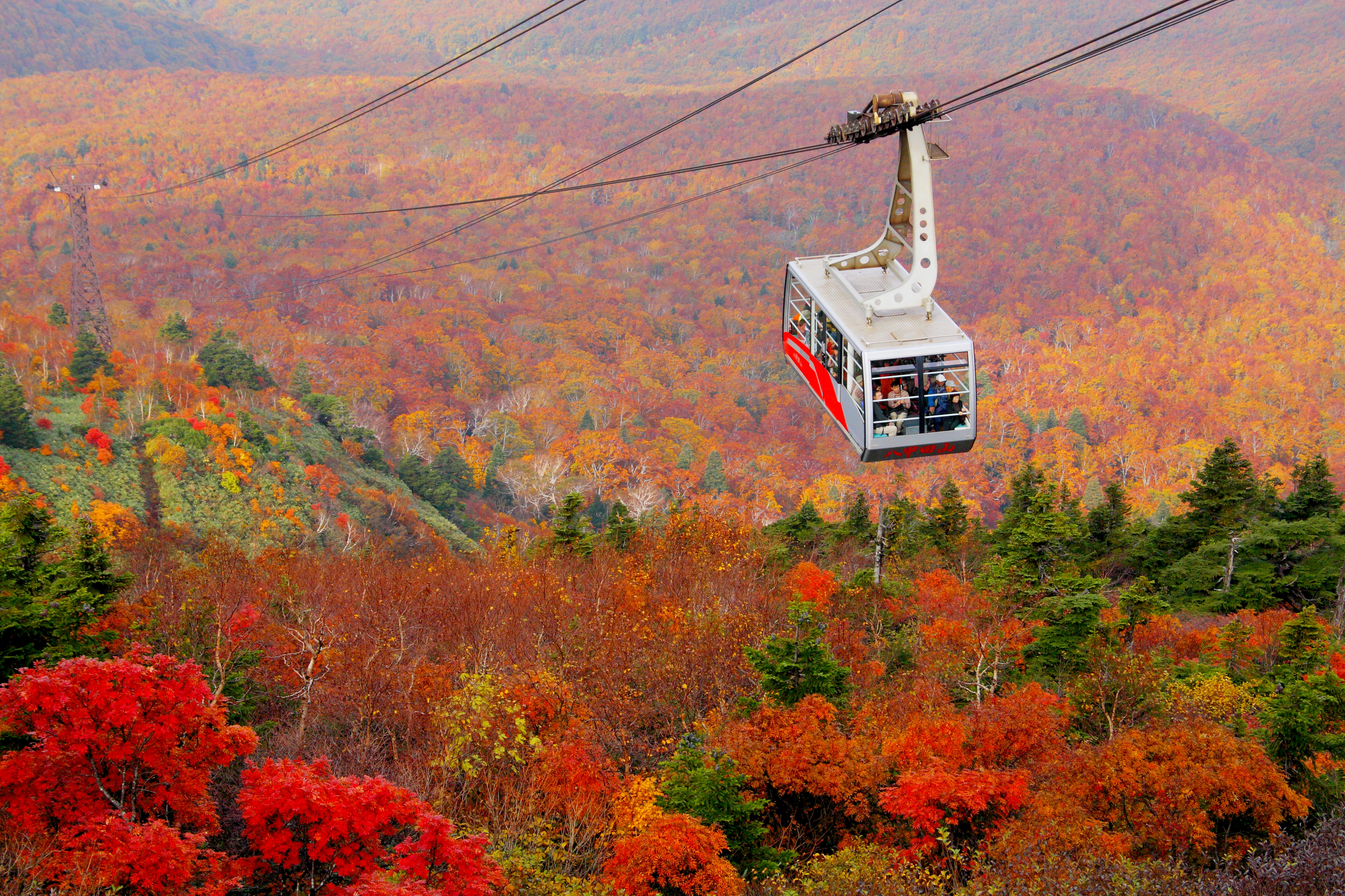 Kereta gantung di Gunung Hakkoda, Prefektur Aomori, Tohoku, Jepang. Gunung Hakkoda merupakan tempat terbaik melihat daun momiji di Jepang.