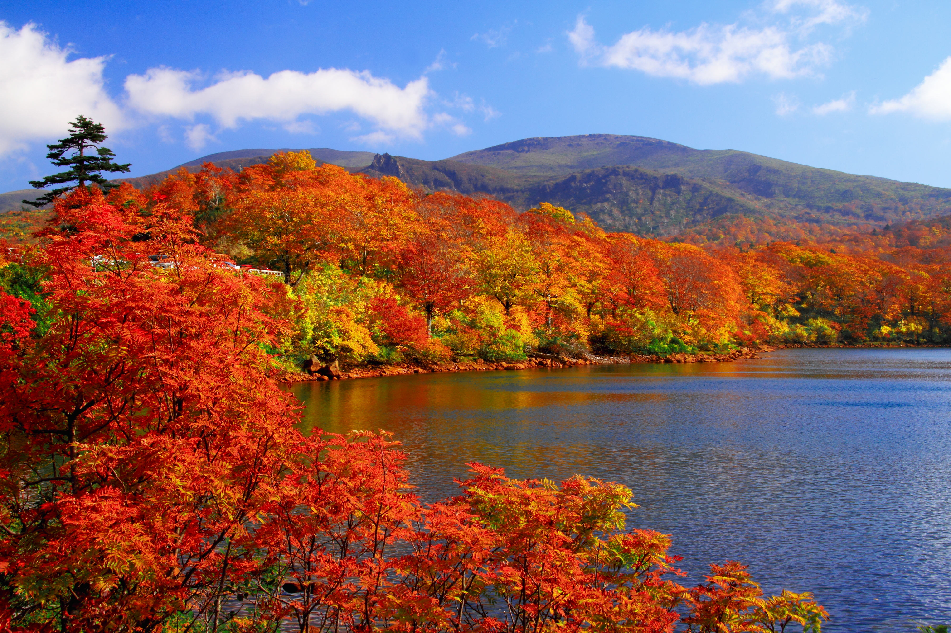 Gunung Kurikoma di Tohoku, Jepang, terkenal dengan pemandangan musim gugurnya yang dijuluki Karpet Para Dewa.