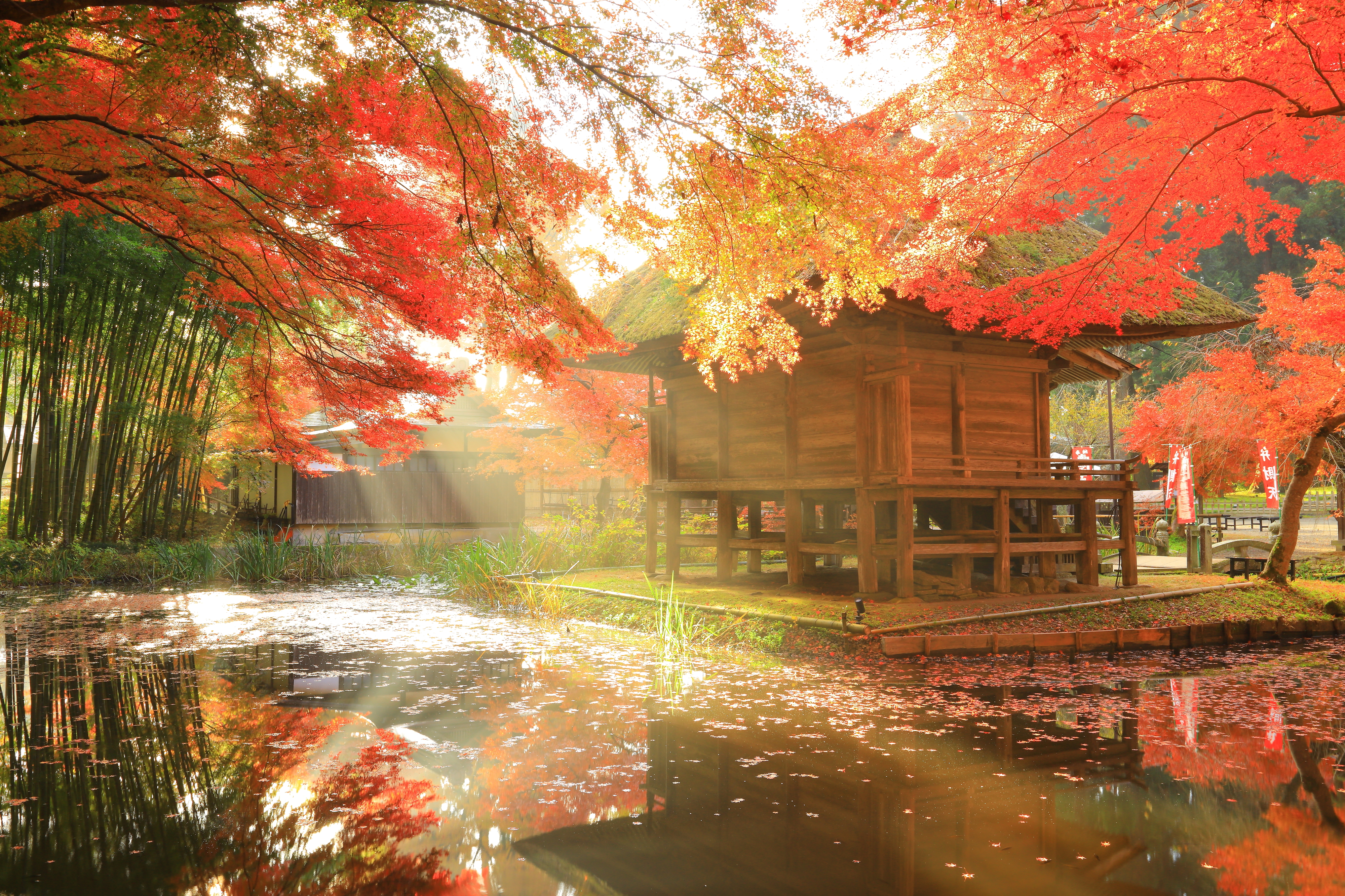 Kuil Chūson-ji di Prefektur Iwate, tempat terbaik melihat daun momiji musim gugur di Jepang.