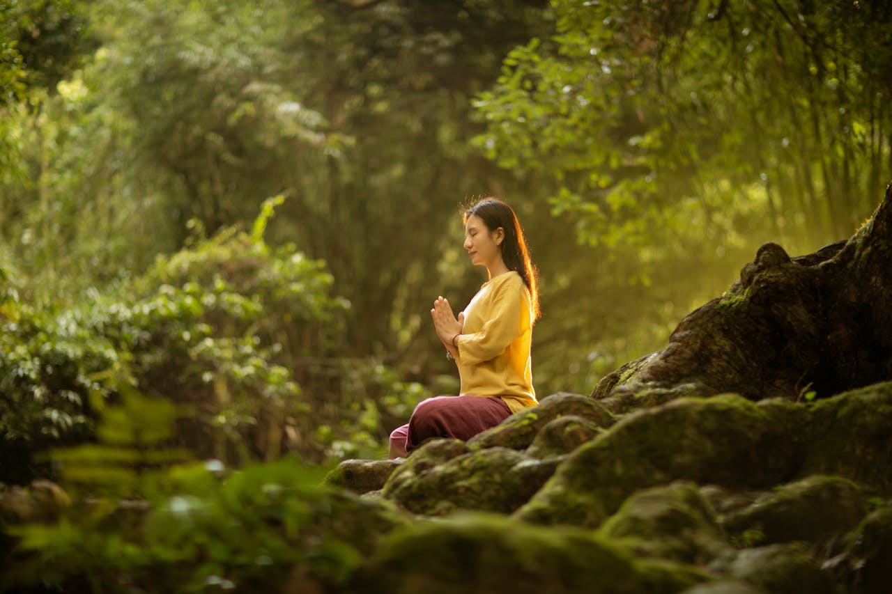  Shinrin-yoku atau forest bathing adalah praktik kesehatan dari Jepang yang fokus pada hubungan manusia dengan alam. 