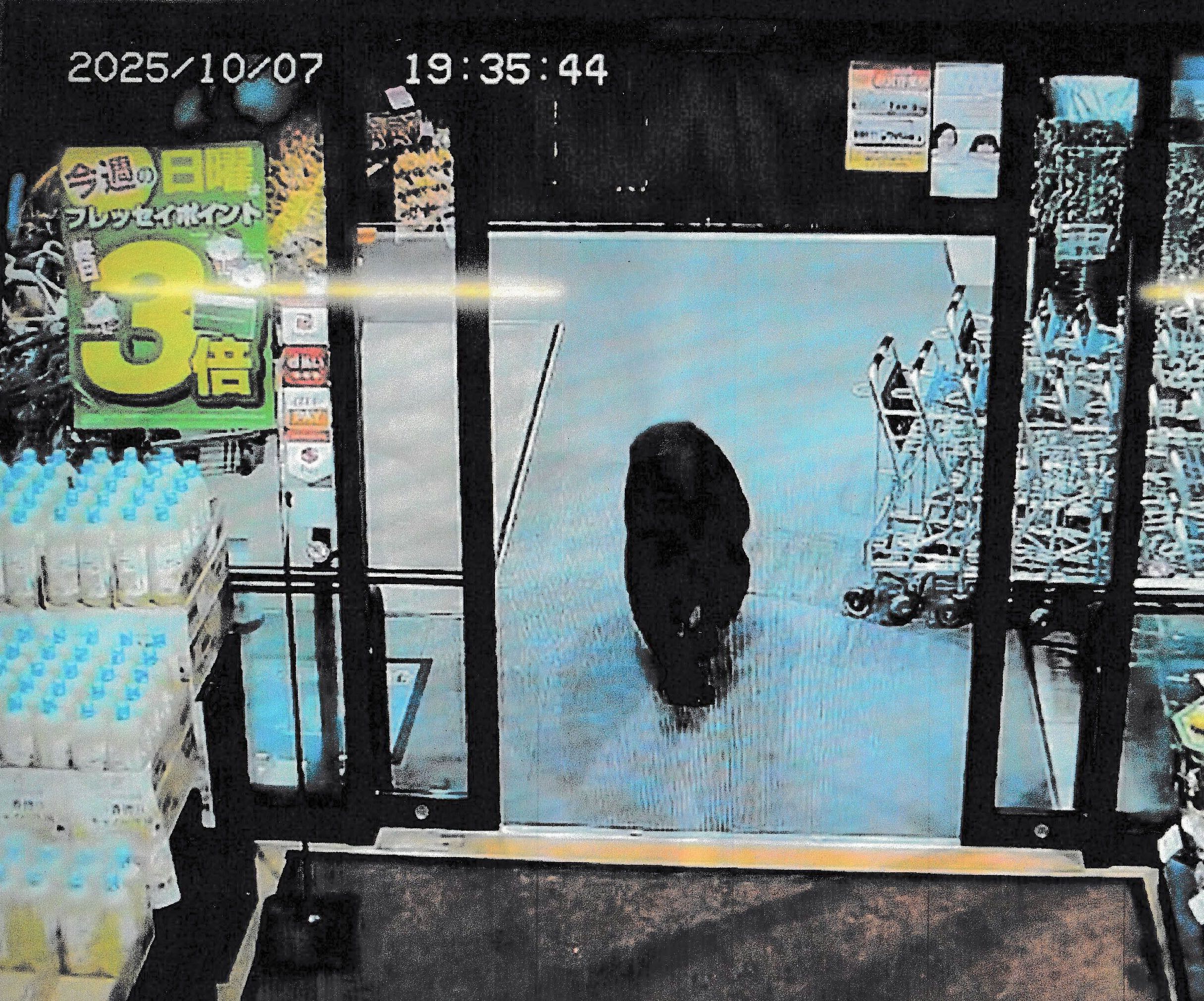 Seekor beruang masuk ke dalam sebuah supermarket di Kota Numata, Prefektur Gunma, pada 7 Oktober 2025.