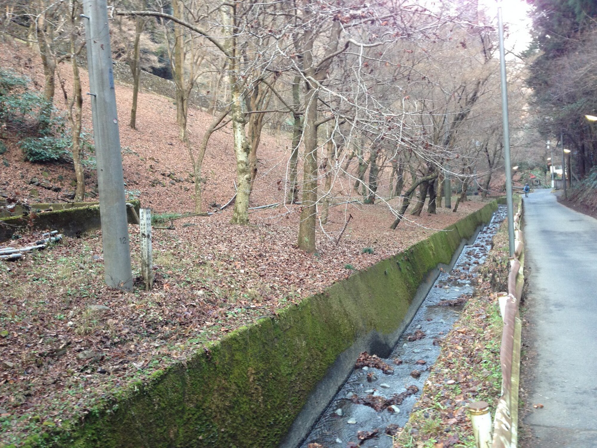 Sungai kecil di Gunung Takao.
