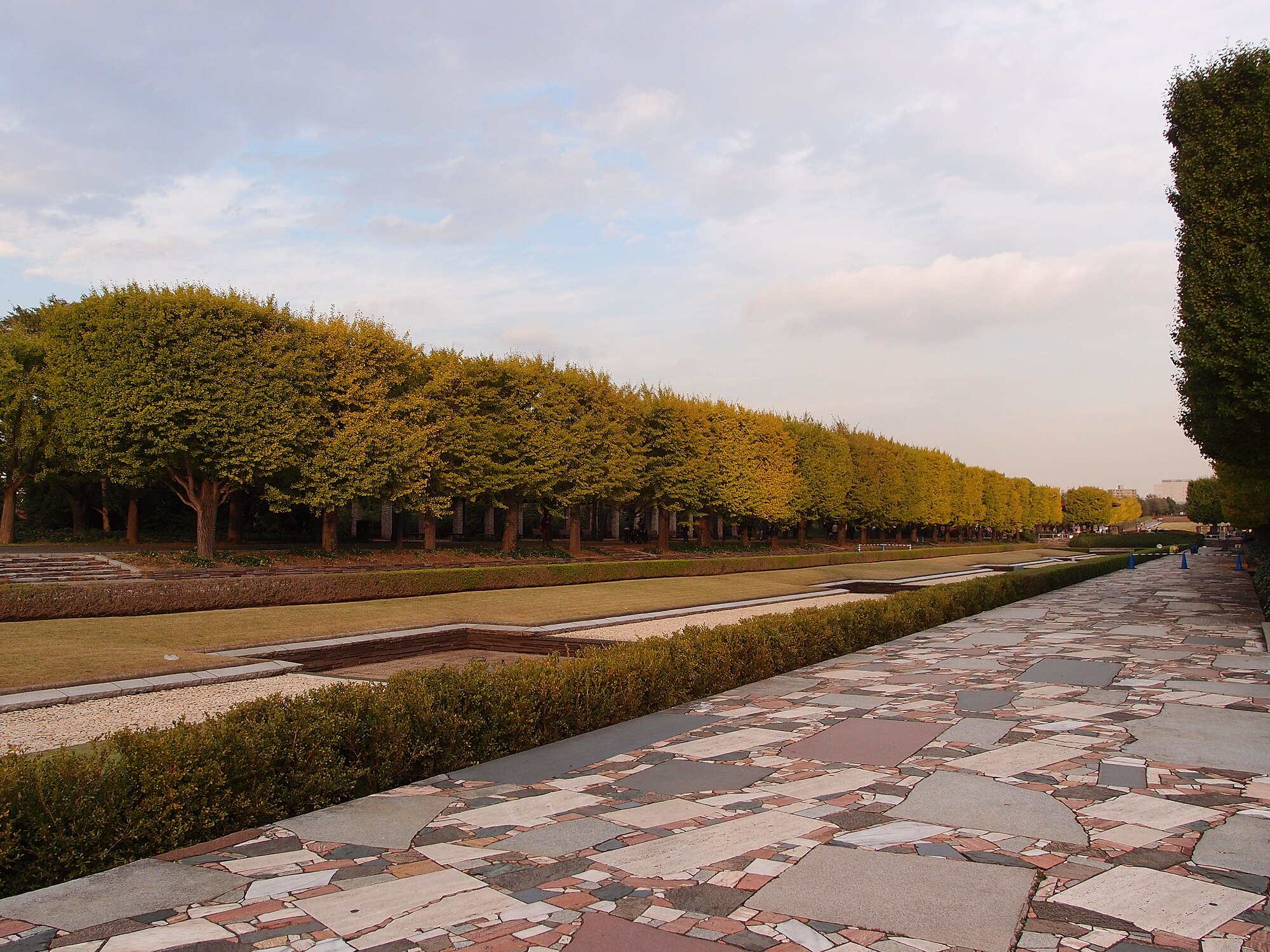 Showa Kinen Park di Tachikawa merupakan taman nasional yang luasnya 180 hektar.
