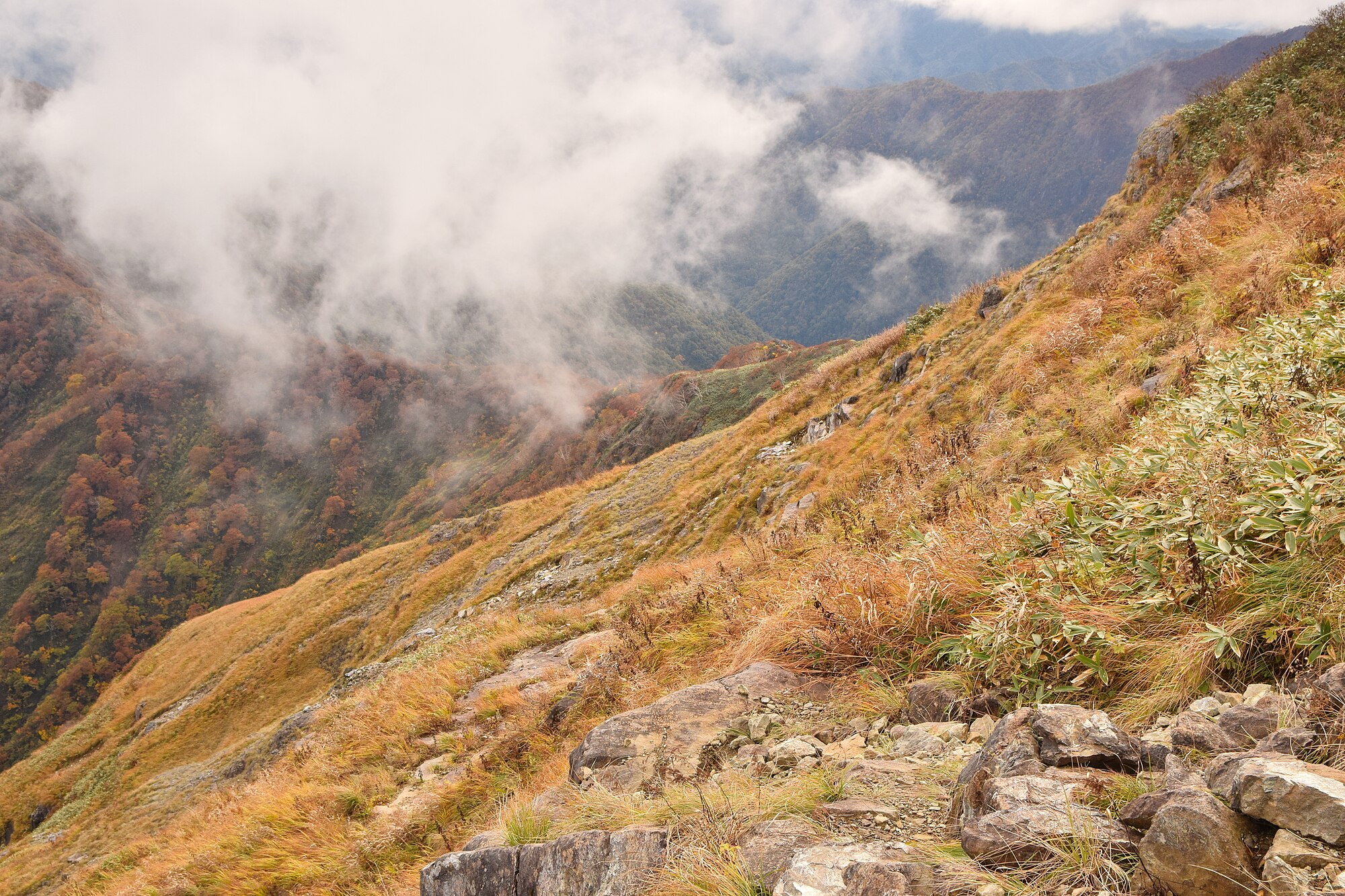 Gunung Tanigawa dengan ketinggian 1.977 meter terletak di perbatasan antara Prefektur Gunma dan Niigata. 