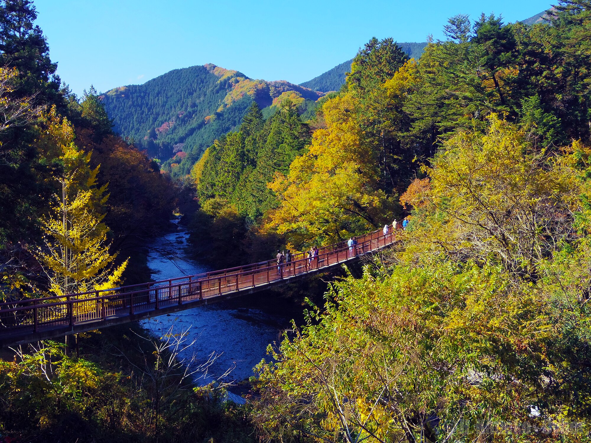 Sungai di Akigawa Valley saat musim gugur.