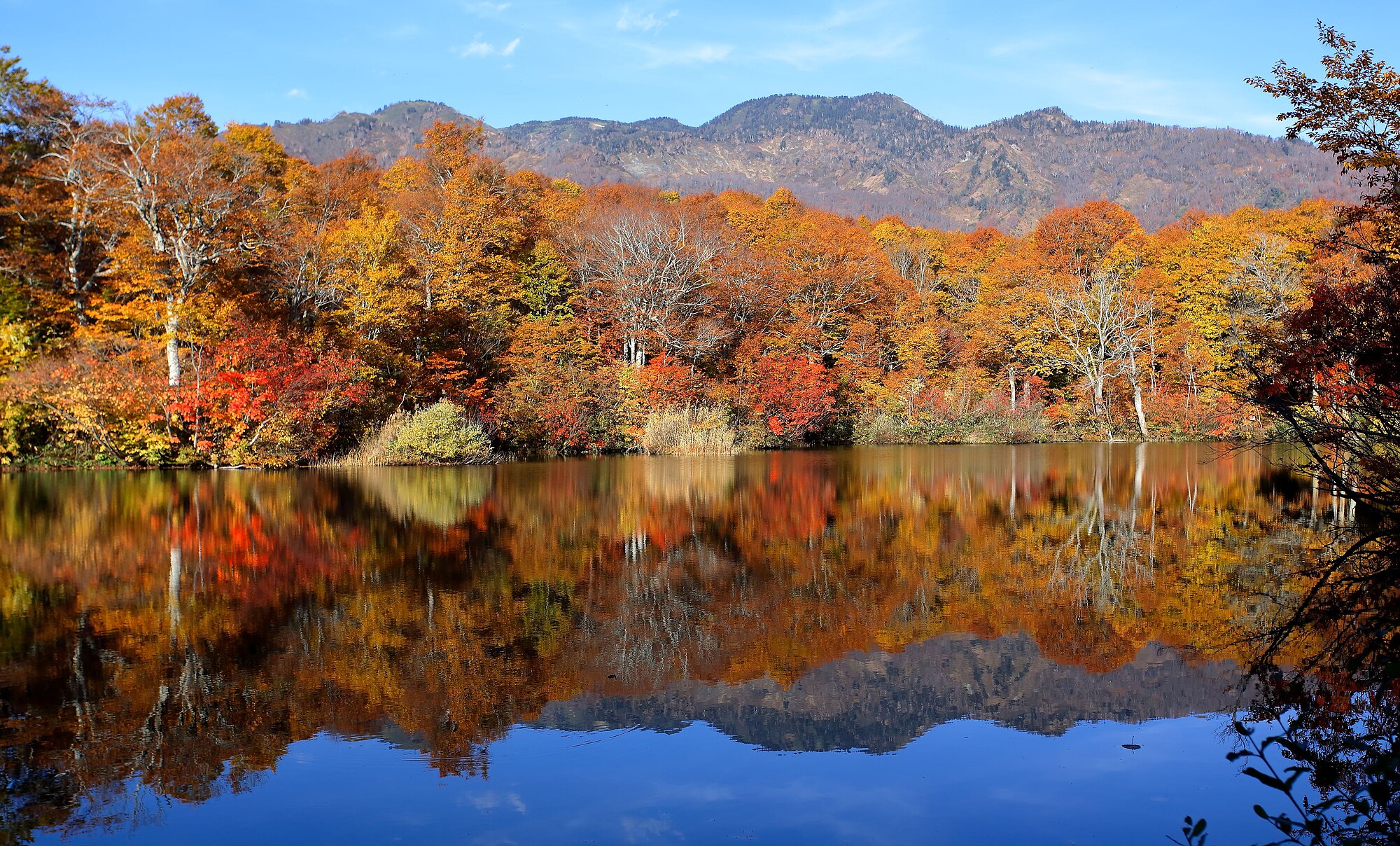 Jalur Shinrin Yoku di sekitar Danau Kamaike, dekat Otari, Prefektur Nagano, Jepang.