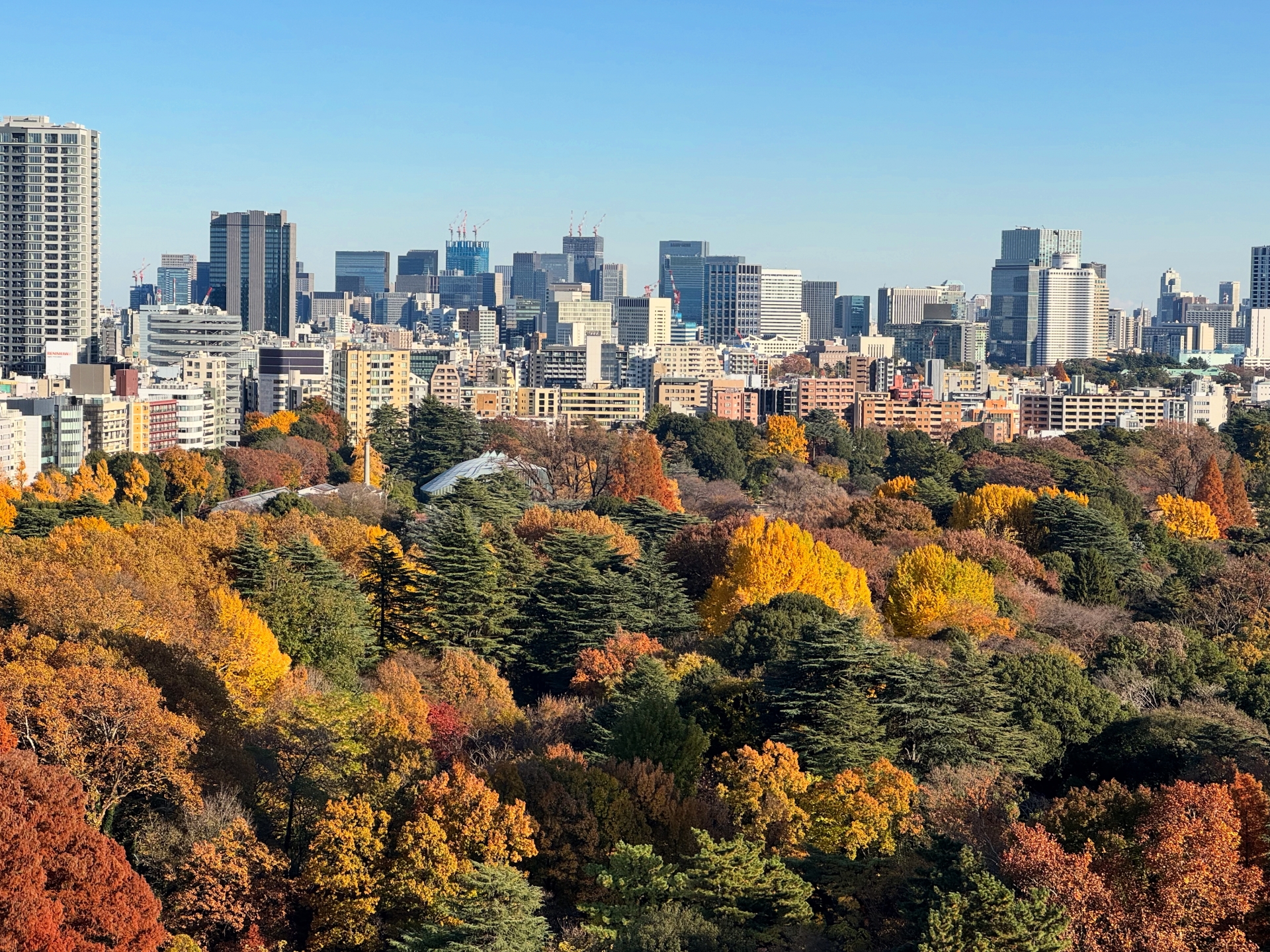 Shinjuku Gyoen, Tokyo, Jepang.