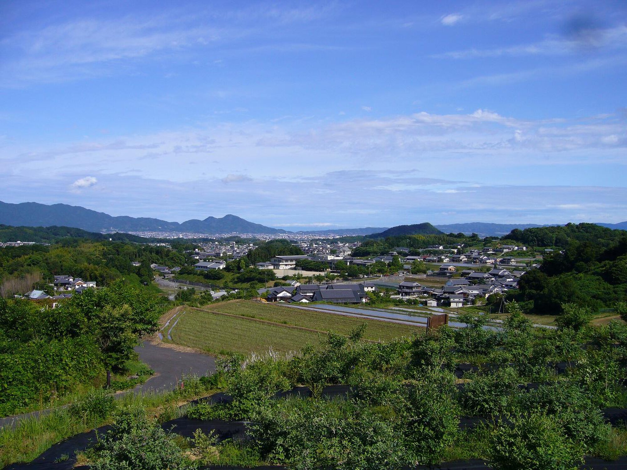 Pemandangan dari Asuka Berry Farm.