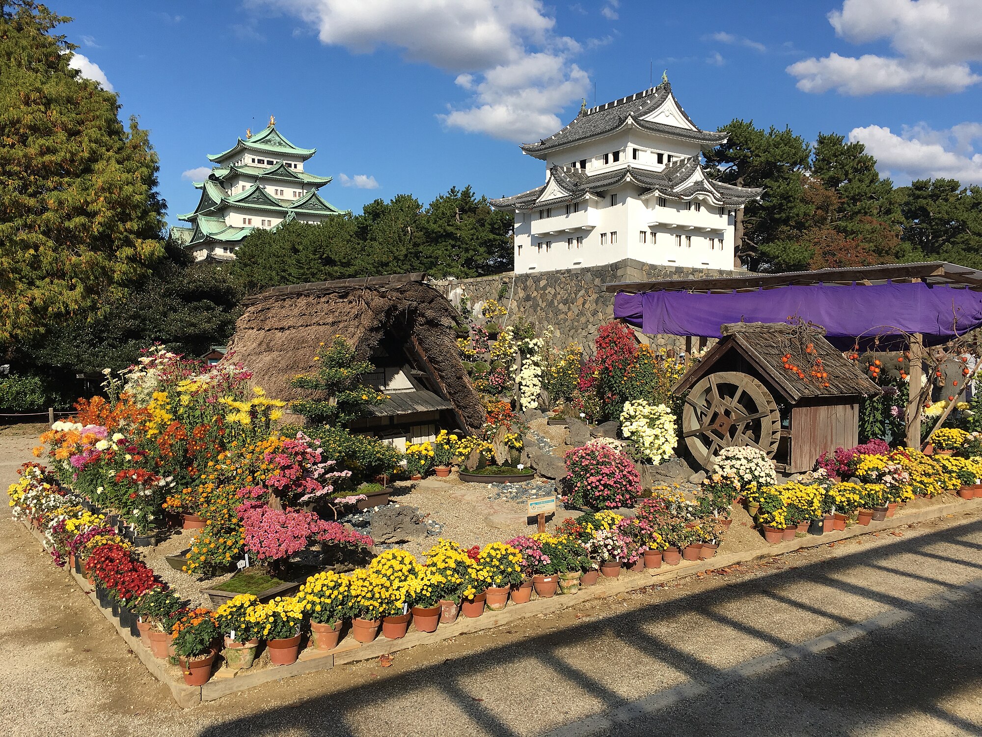 Pameran Bunga Krisan Kastil Nagoya ke-71 pada November 2018.