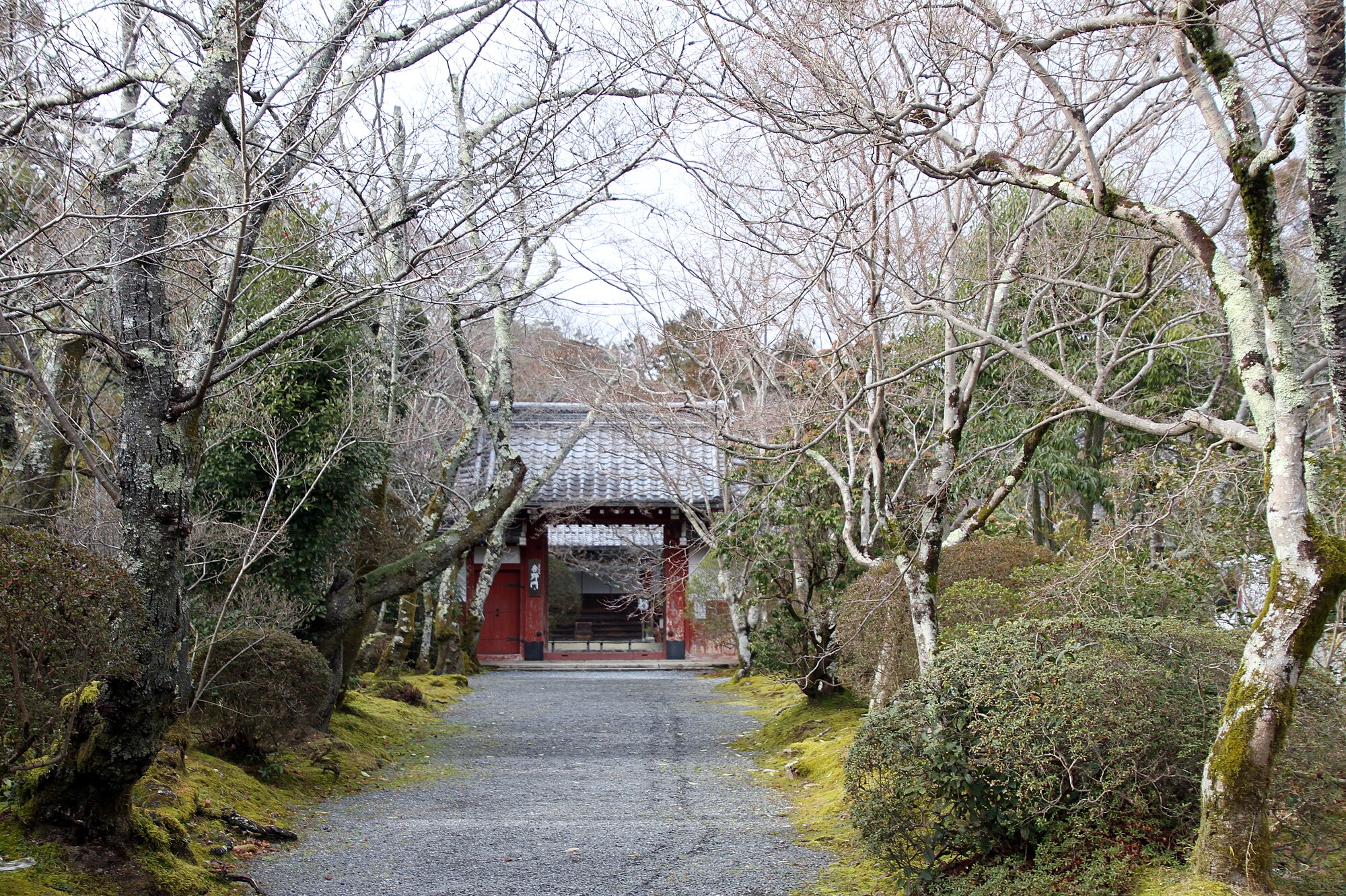 Gambar yang menunjukkan foto yang diambil di Jōshō-ji Jakko-san di Kyoto jalan besar.
