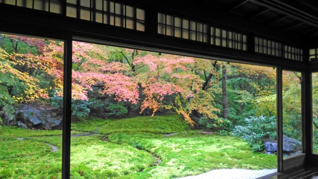 Suasana musim gugur di Jepang.