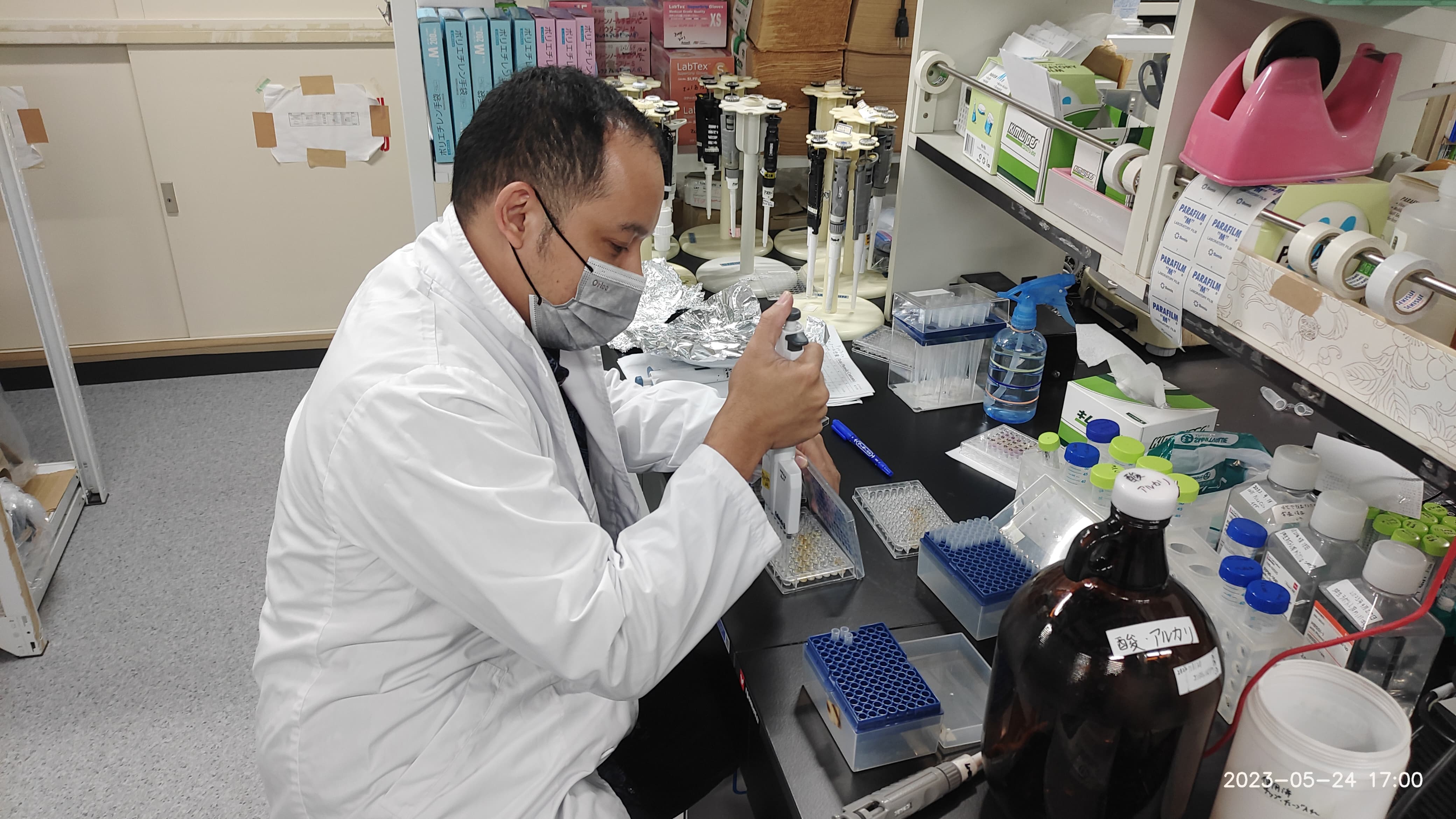 Dase Hanaefi saat sedang meneliti white tea Indonesia di Tokai University, Jepang.