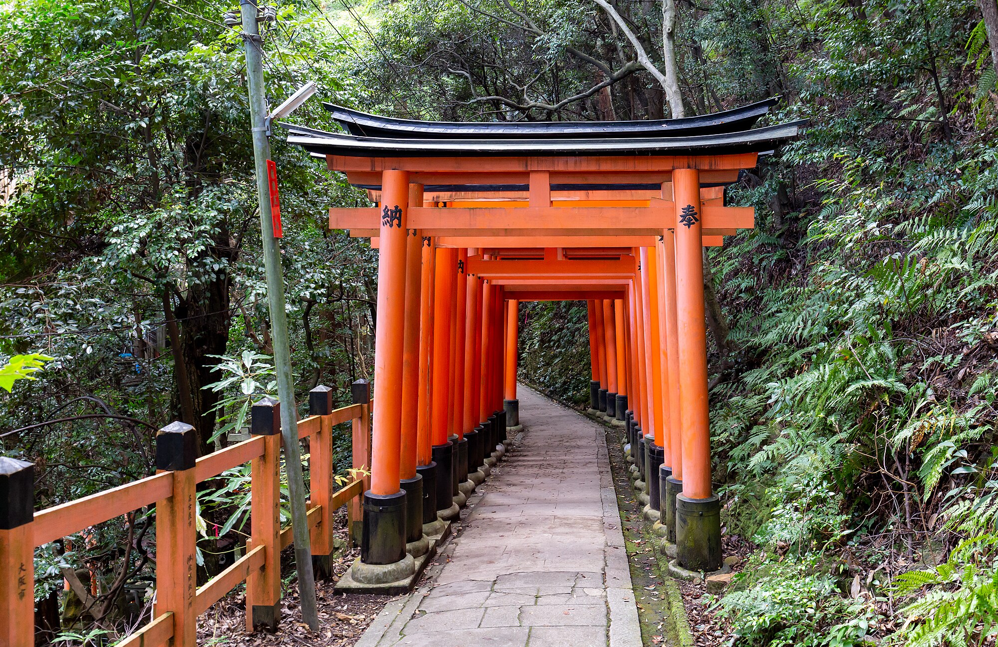 Pintu gerbang Torii di Kuil Fushimi Inari-taisha di Kyoto, Jepang.
