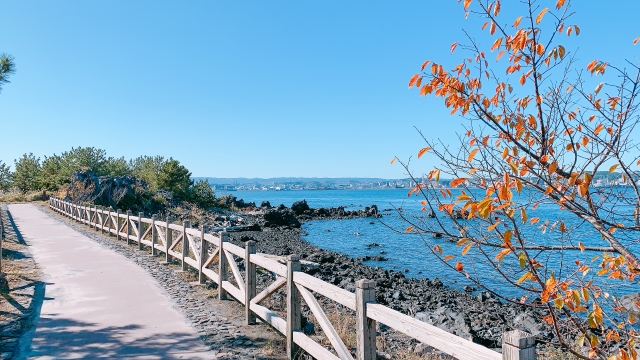 Kunjungi Kirishima Kinkō Bay National Park di Kyūshū saat liburan di Jepang.