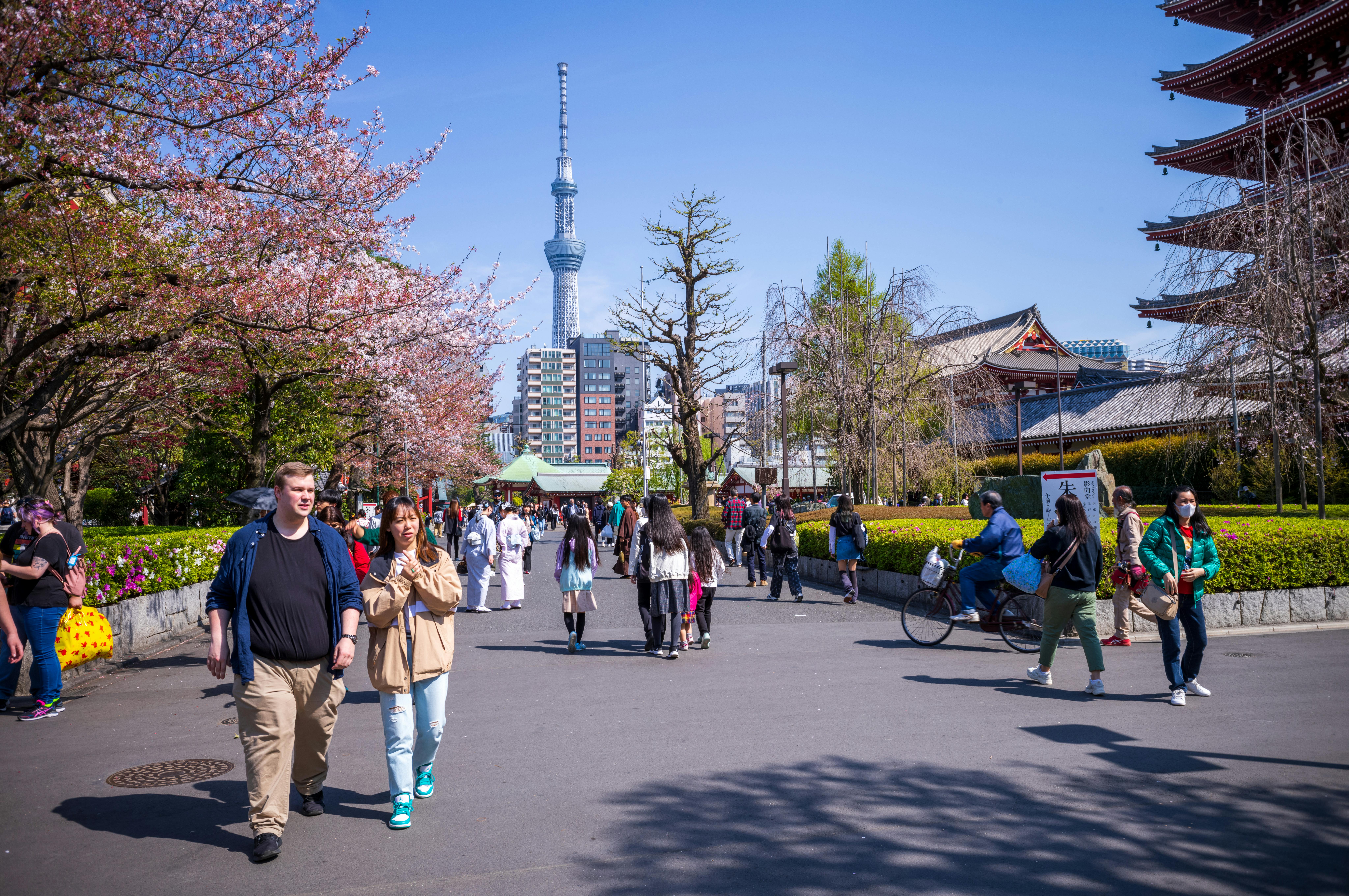 Bunga sakura di Kuil Senso-ji dengan Tokyo Skytree.