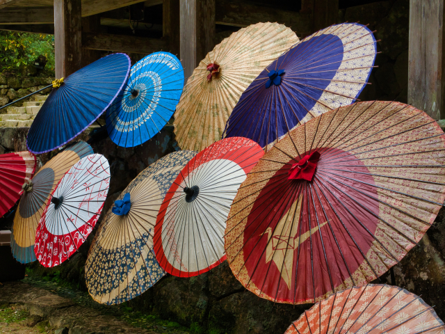 Payung tradisional Jepang memiliki banyak jenis, dari wagasa, janome-gasa, bangasa, higasa, hingga payung untuk tari, upacara teh, dan ritual.