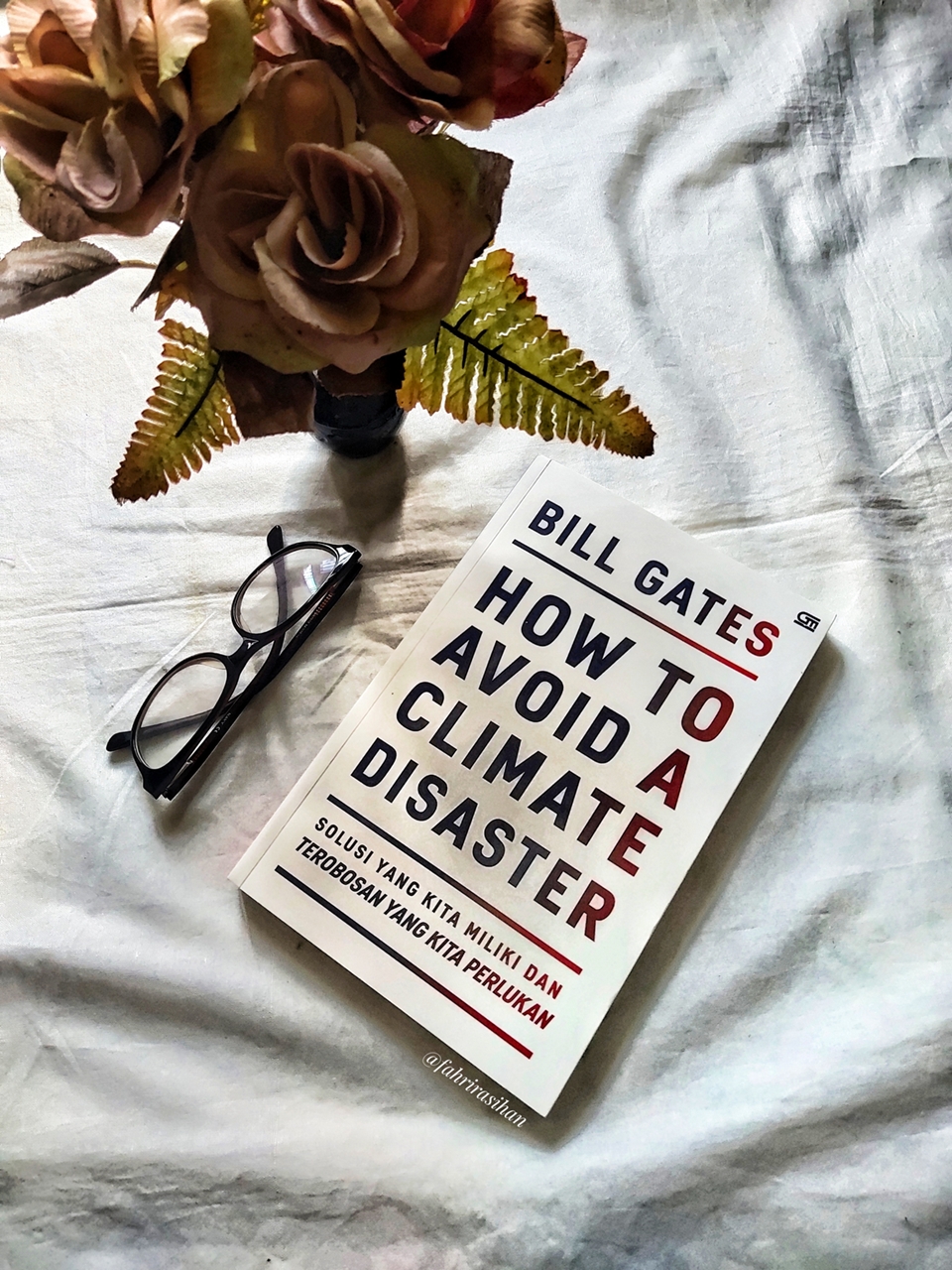 How to Avoid a Climate Disaster