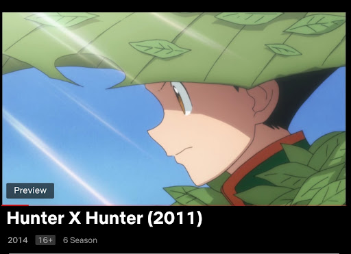 hunter x hunter