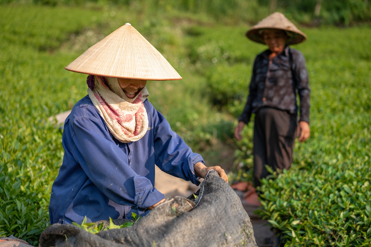 Sistem Ekonomi Tradisional 