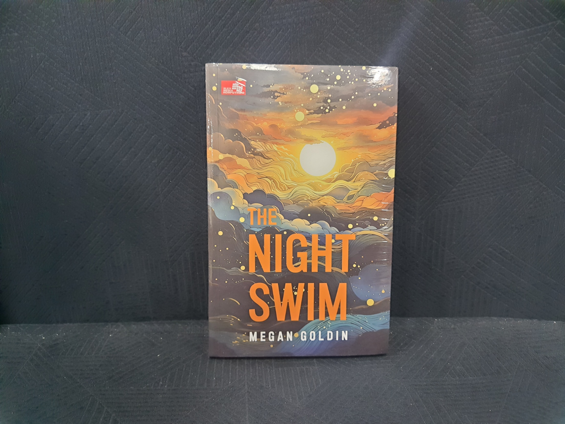 Novel The Night Swim