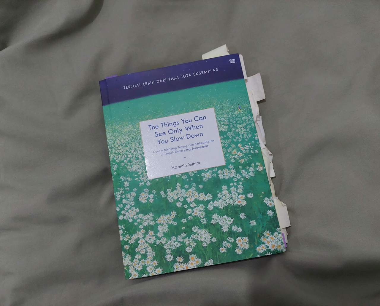 Buku The Things You Can See Only When You Slow Down