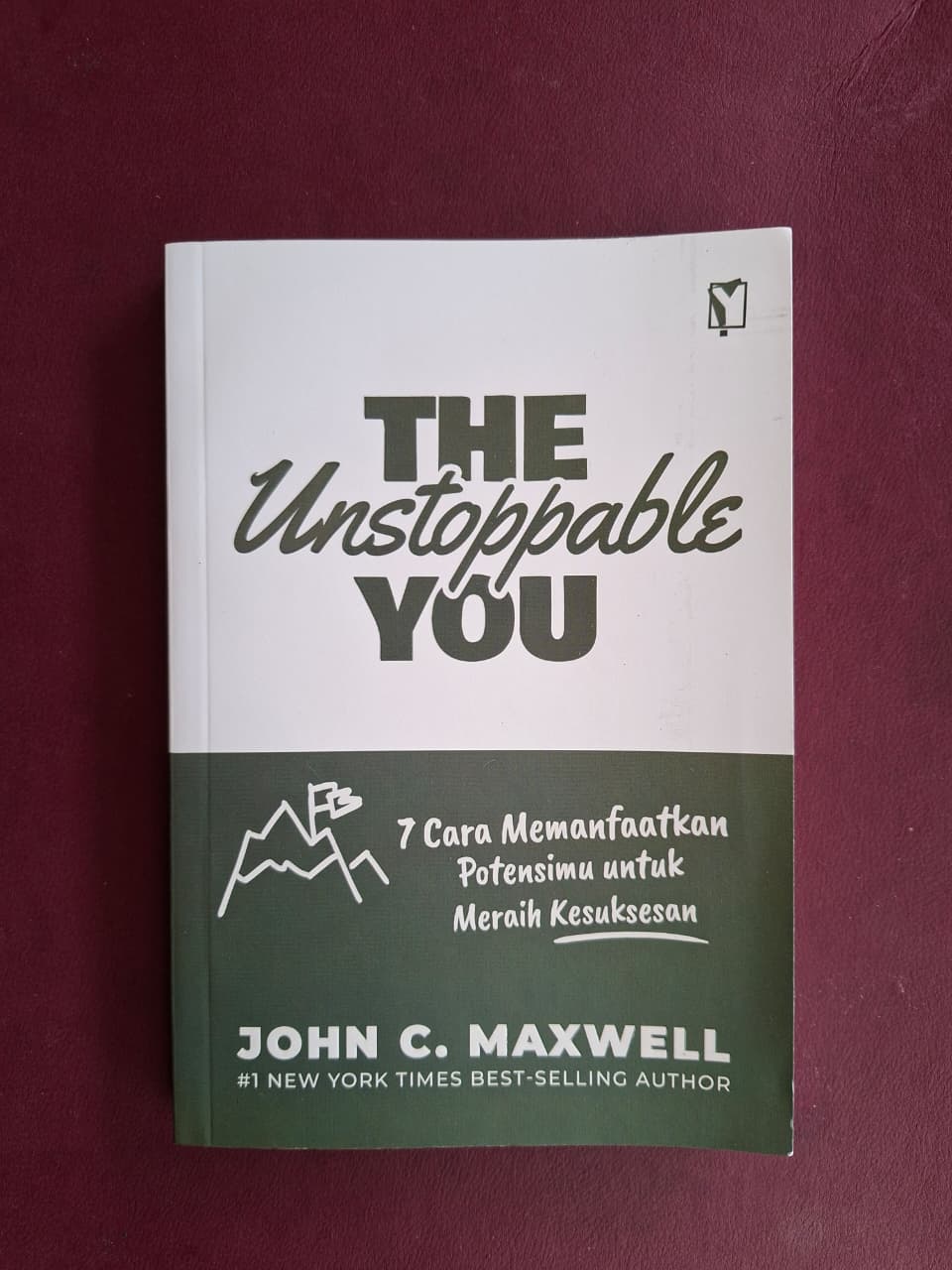 Buku The Unstoppable You