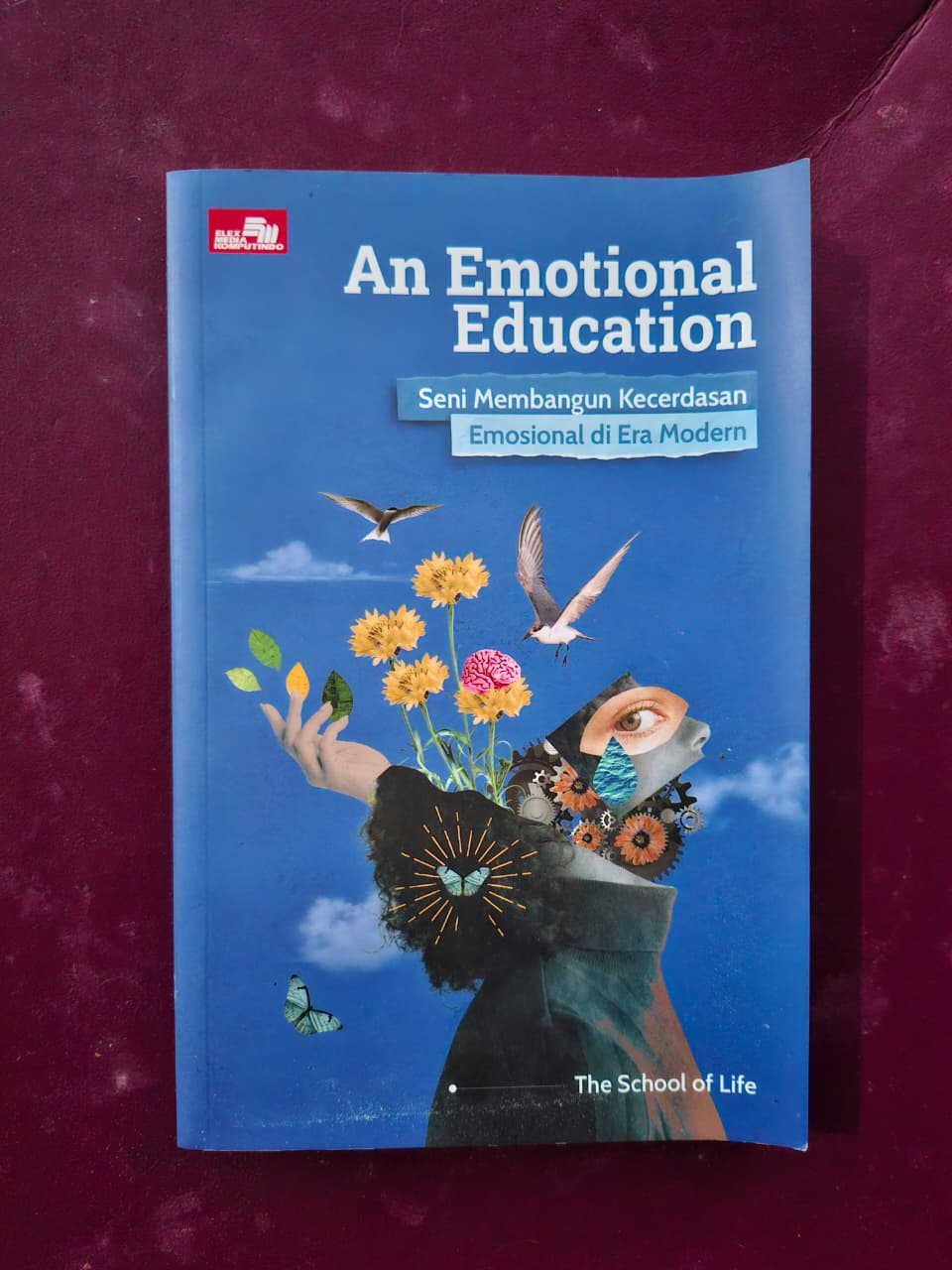 Buku An Emotional Education: Seni Membangun Kecerdasan Emosional di Era Modern