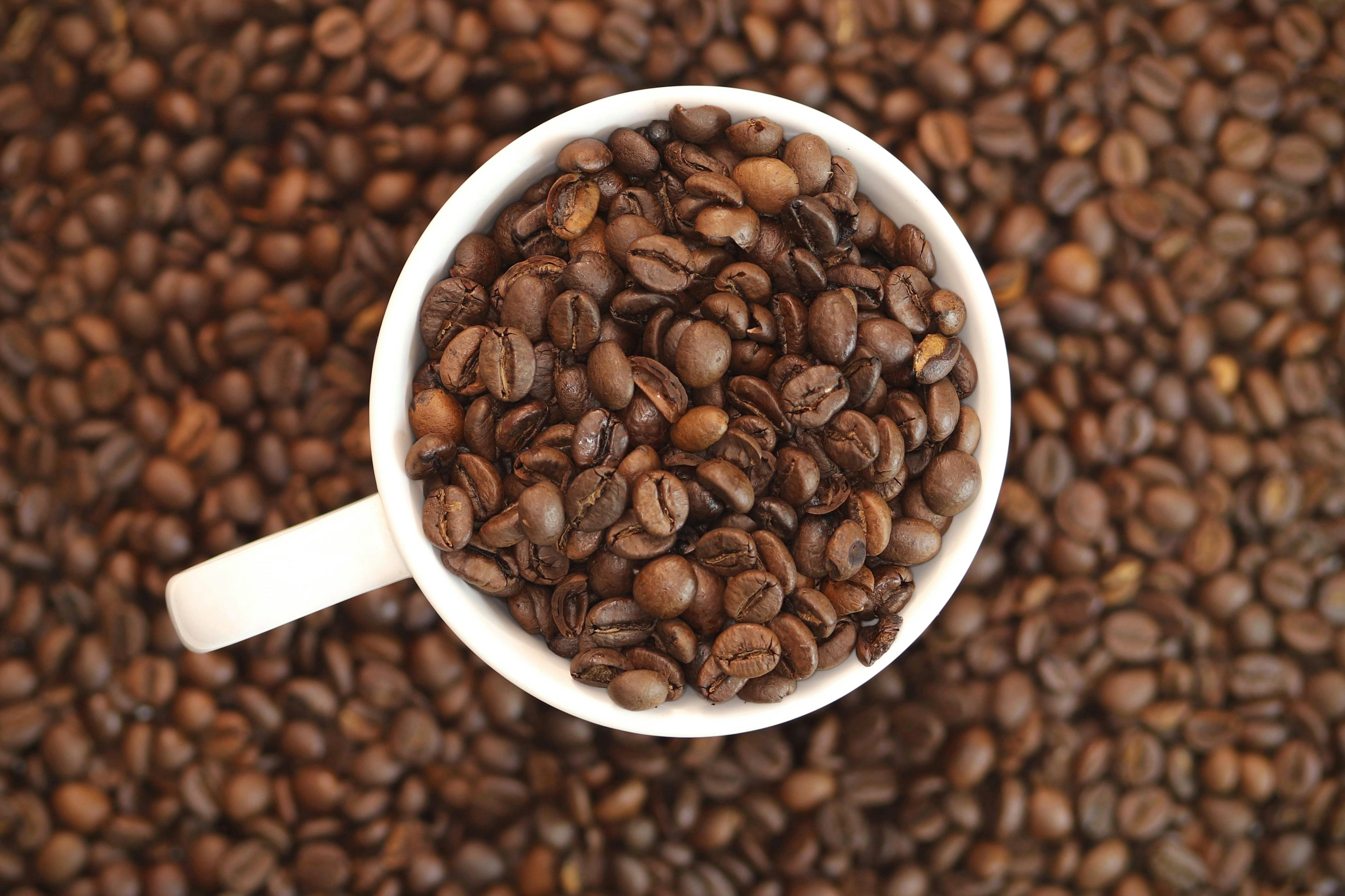 Ciri-Ciri Kopi Arabika dan Robusta