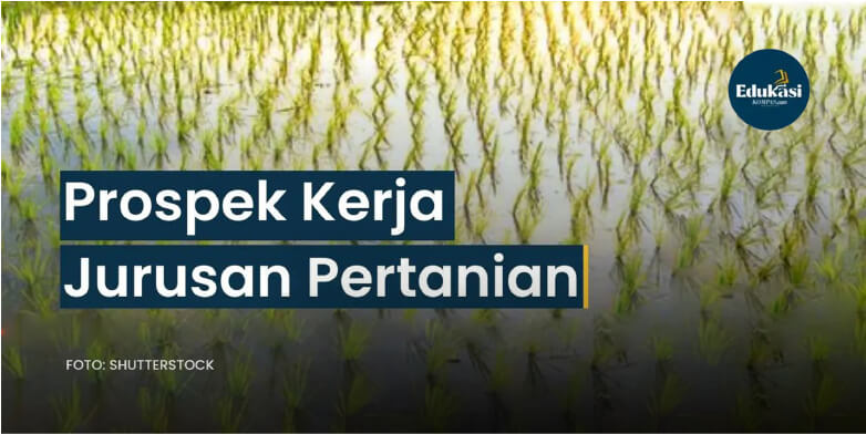 Lulusan beralih dari pekerjaan kantoran ke bisnis pertanian