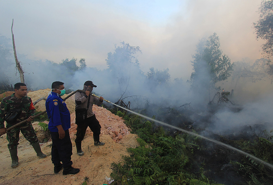 Kebakaran Hutan dan Lahan di Riau Meluas