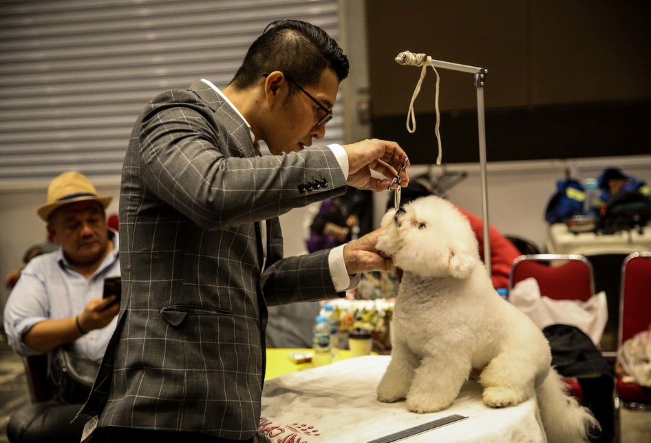 Jakarta International Pet Show 2019