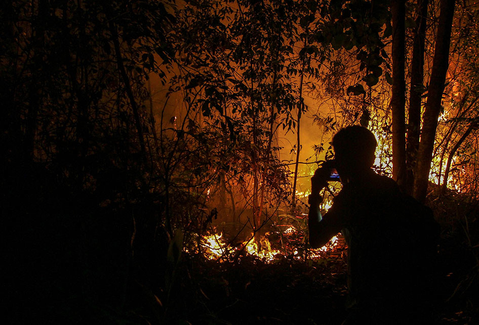 Kebakaran Hutan Dan Lahan Di Riau Yang Tak Kunjung Usai