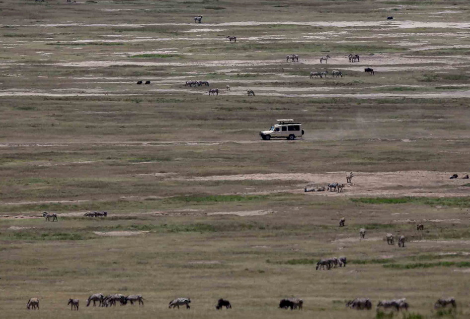 Taman Nasional dan Kawah Ngorongoro di Afrika