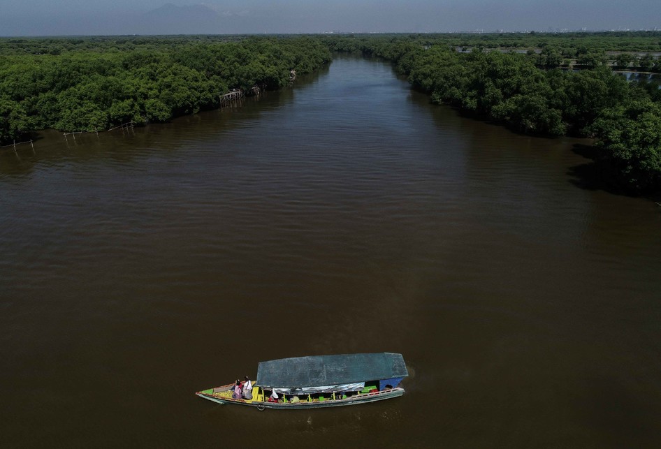 Menikmati Wisata Hutan Mangrove Wonorejo Di Surabaya