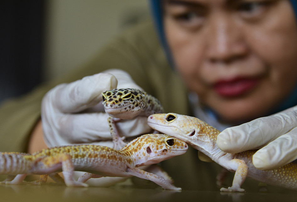 TOKEK HIAS SERAHAN WARGA DI ACEH