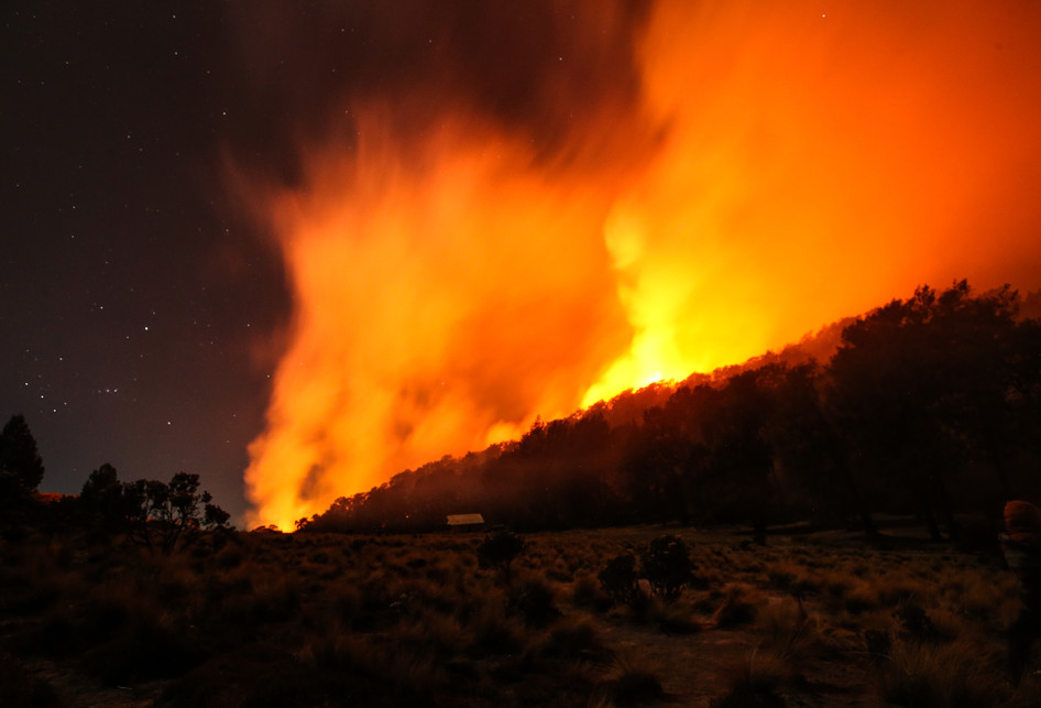 Kebakaran Hutan di Gunung Semeru