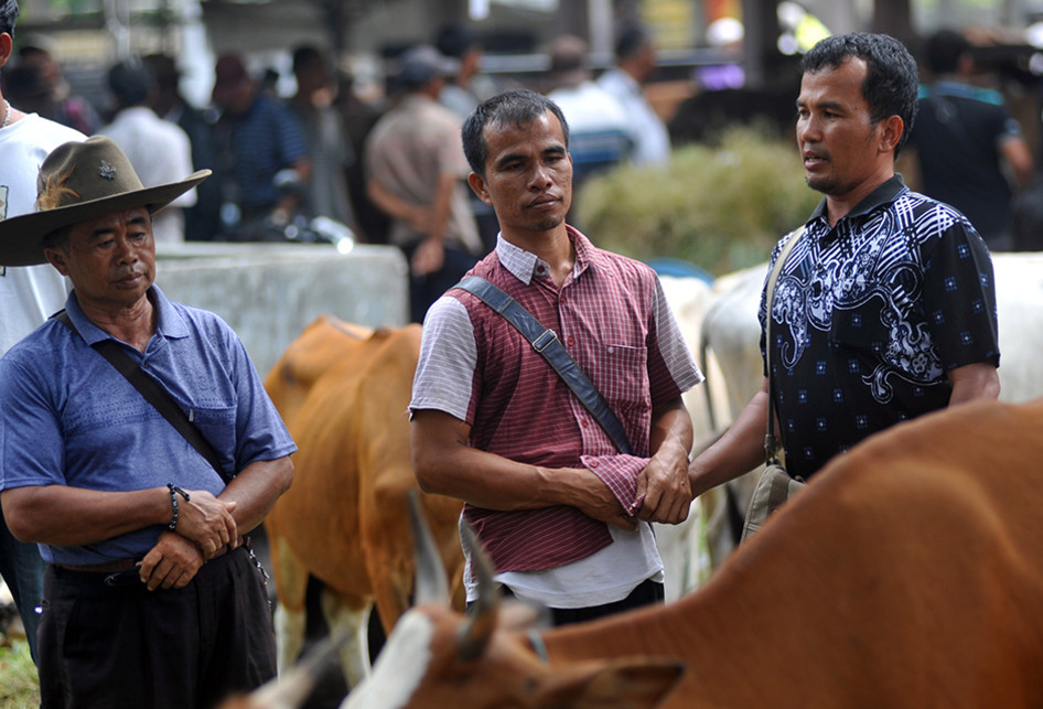 Tradisi Marosok, Negosiasi Jari ala Pedagang Ternak Minangkabau