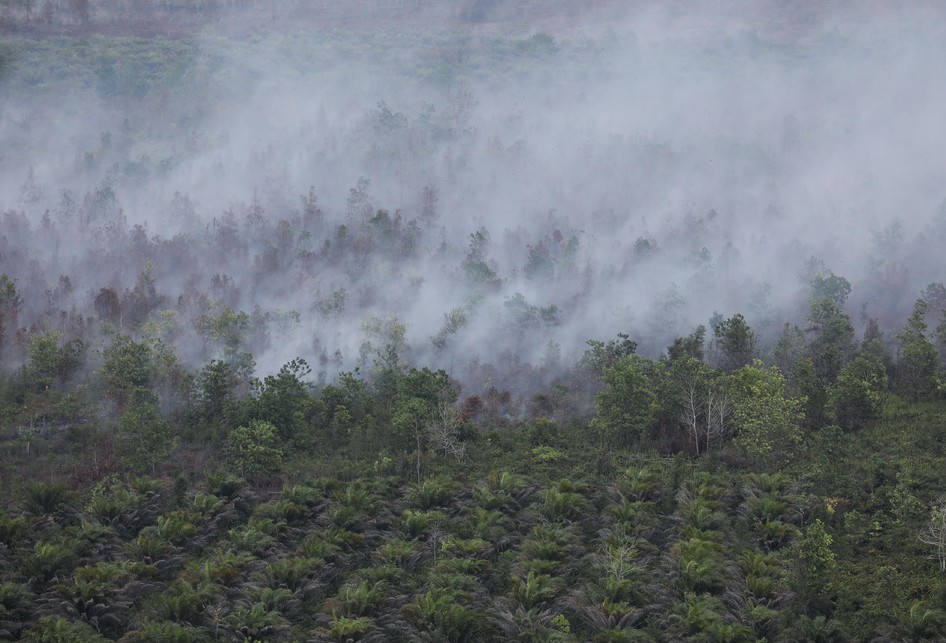 Kebakaran Hutan dan Lahan (Karhutla) Palangka Raya 