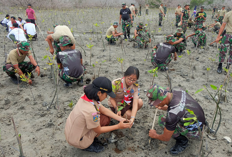 Rayakan HUT Ke-74, TNI Tanam 300.074 Pohon Mangrove