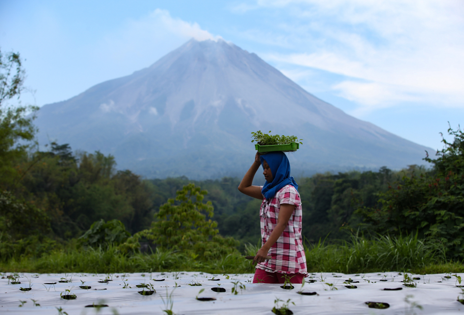 Bersahabat Dengan Bencana Merapi