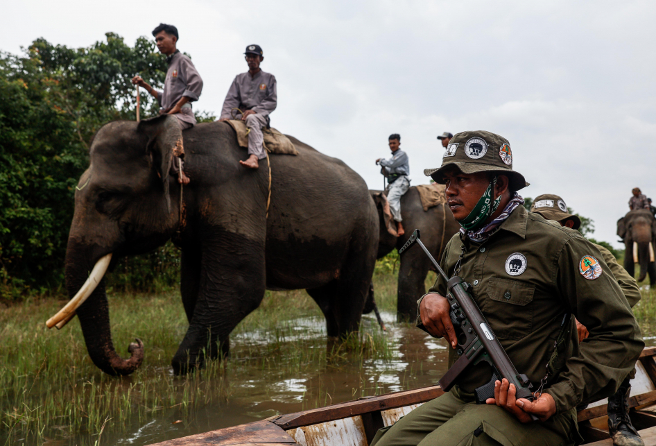 Camp ERU (Elephant Respons Unit) Bungur TN Way Kambas