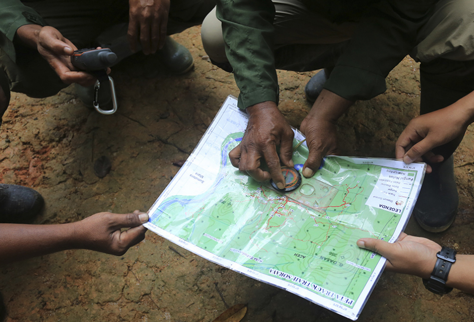 SULUH JAGAWANA HUTAN LEUSER