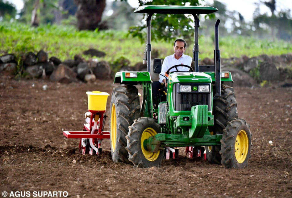 Jokowi Tanam Jagung di Jeneponto