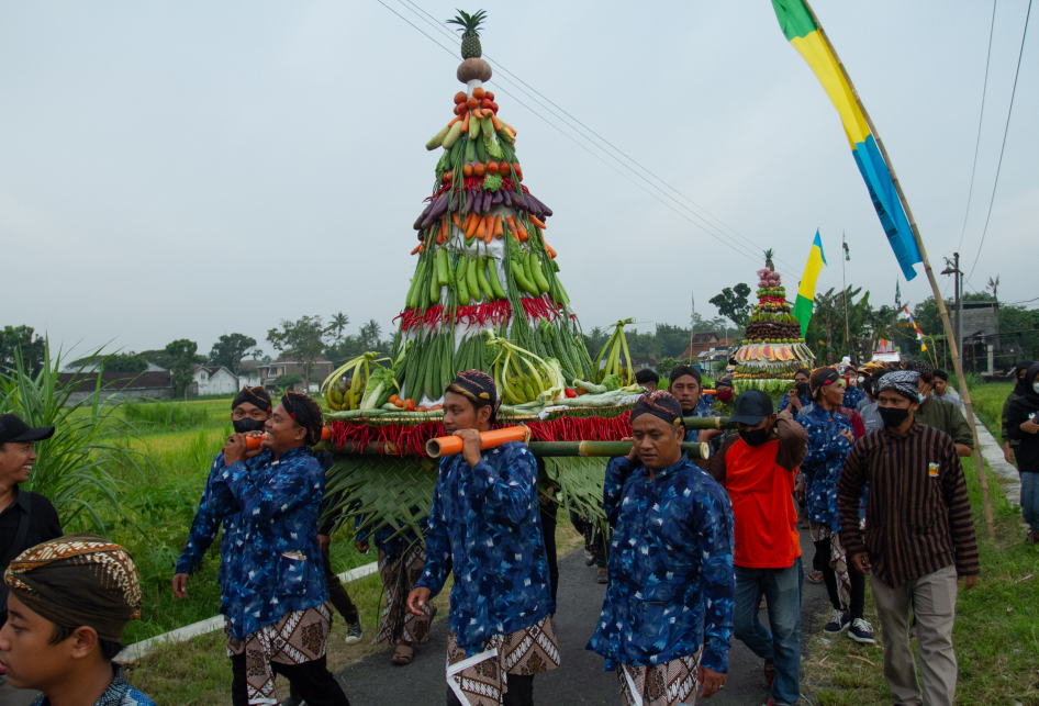 Tradisi Wiwitan di Bantul