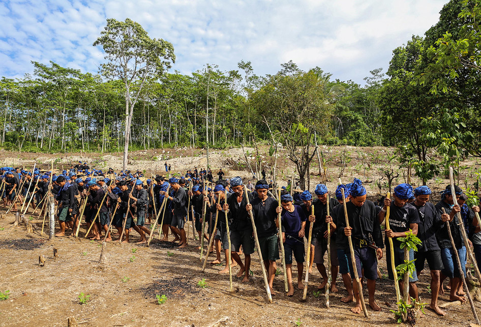 Baduy Padi Huma