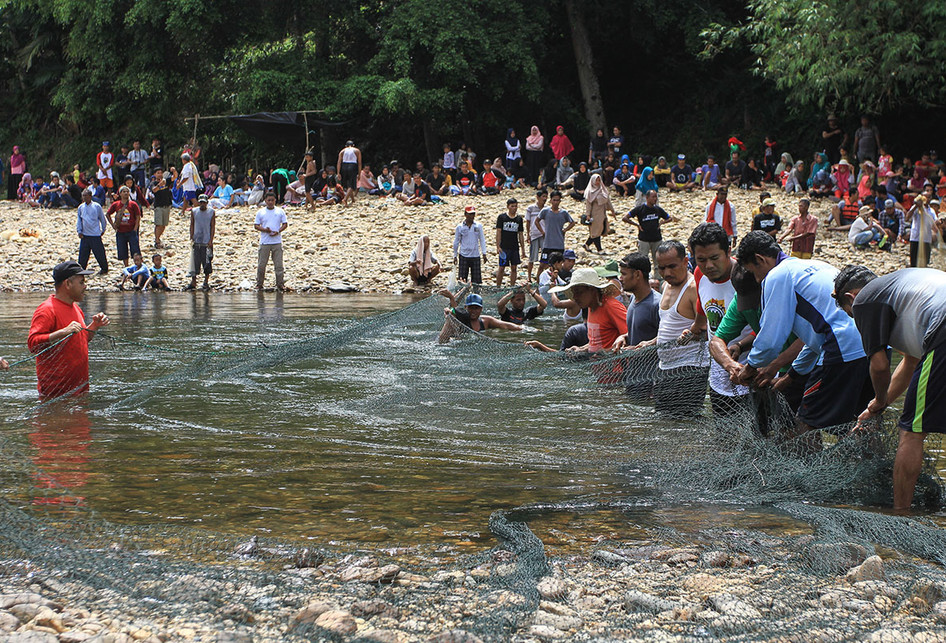 PANEN IKAN LUBUK LARANGAN