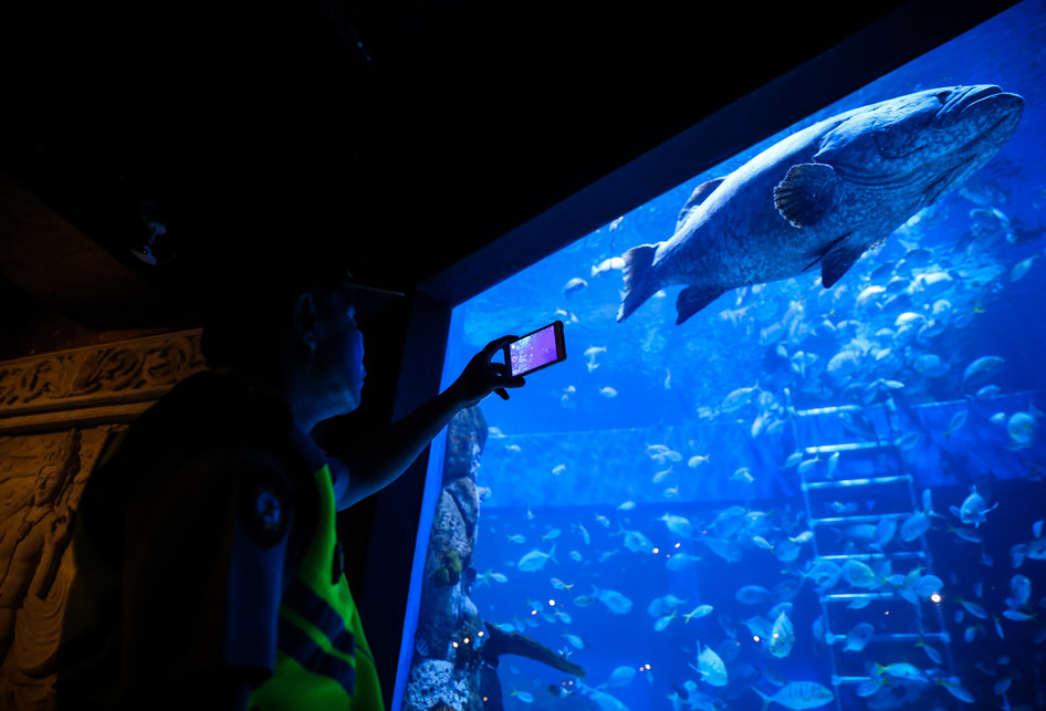 Grand Opening Jakarta Aquarium di Neo Soho