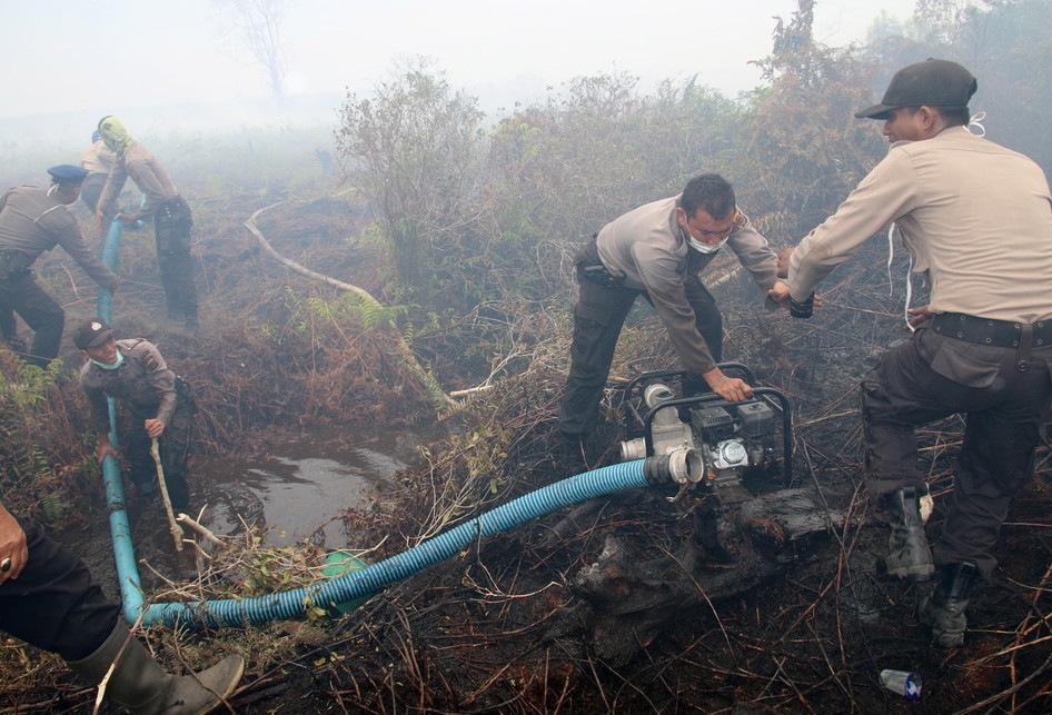 Kebakaran Lahan Gambut Di Aceh Barat 7913